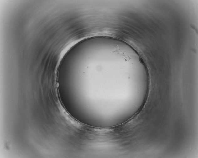 X0000100981200200807011436