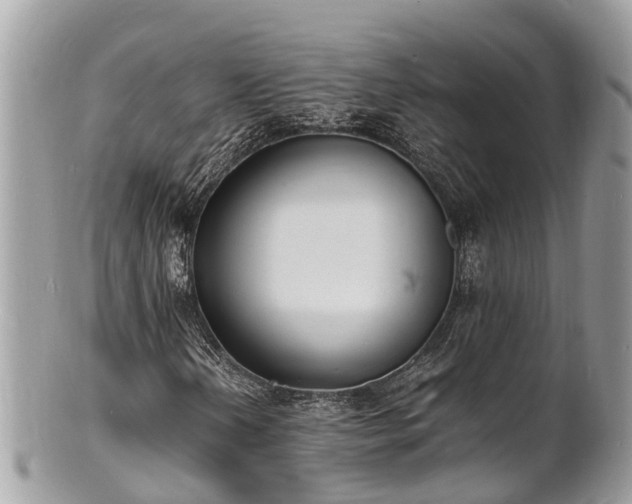 X0000100981202200807011435