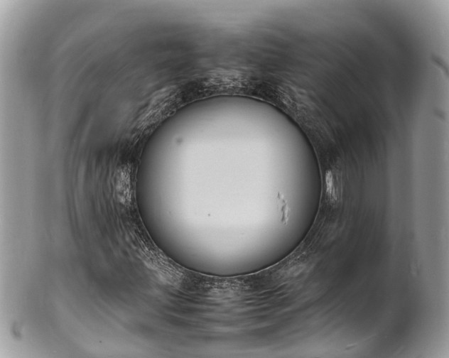 X0000100981203200807011435