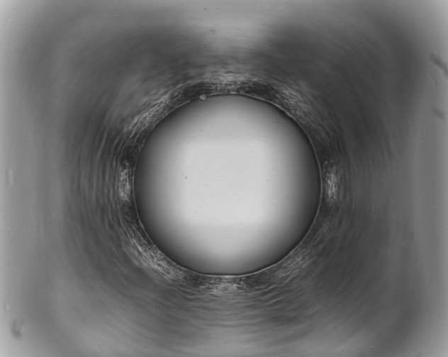 X0000100981204200807011435