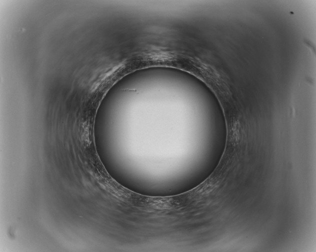 X0000100981205200807011435