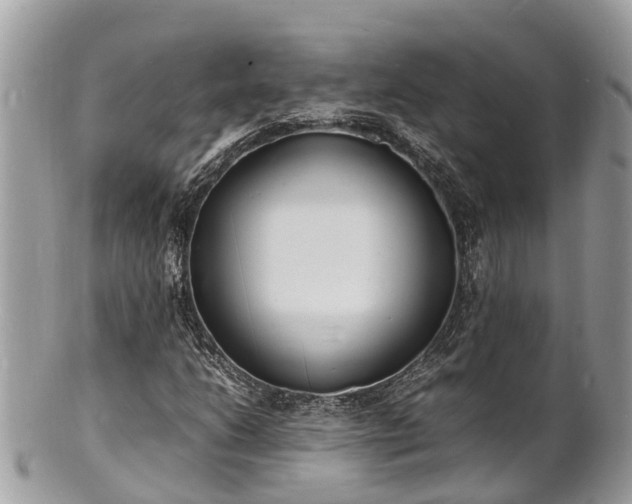 X0000100981206200807011435