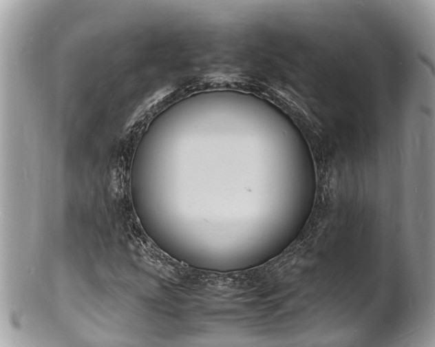 X0000100981207200807011435