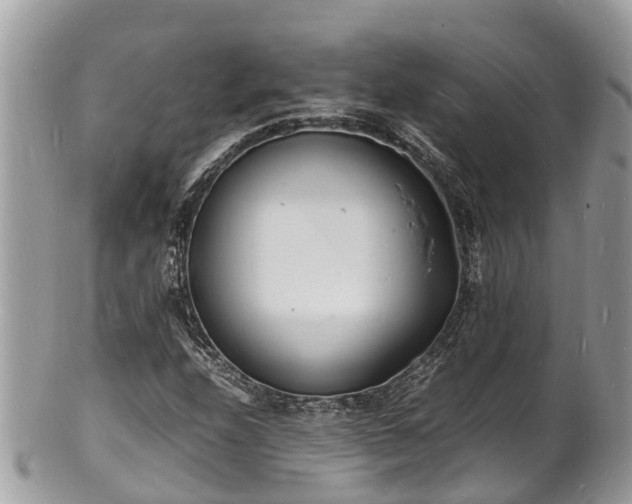 X0000100981208200807011435