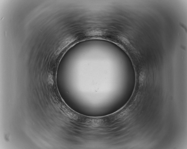 X0000100981209200807011435