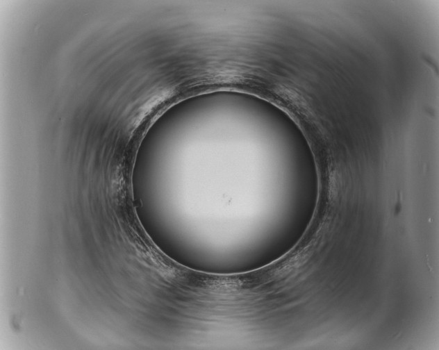 X0000100981210200807011435