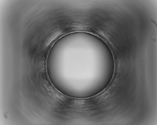 X0000100981211200807011435