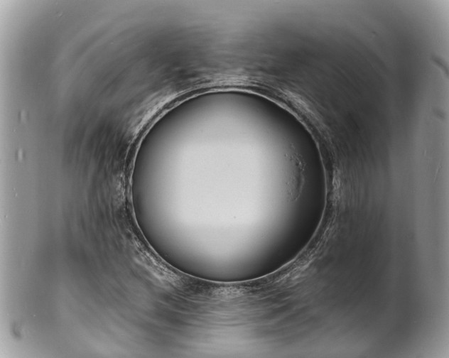 X0000100981212200807011435