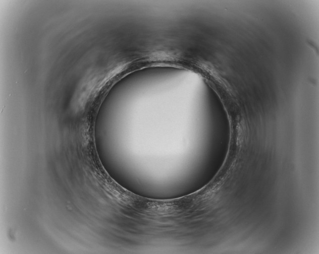 X0000100981213200807011435