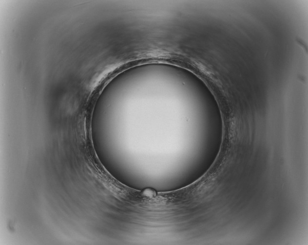 X0000100981214200807011435