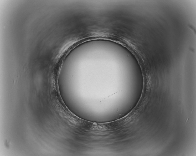 X0000100981215200807011436