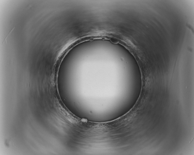 X0000100981216200807011436