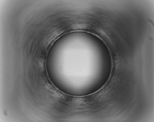 X0000100981217200807011436