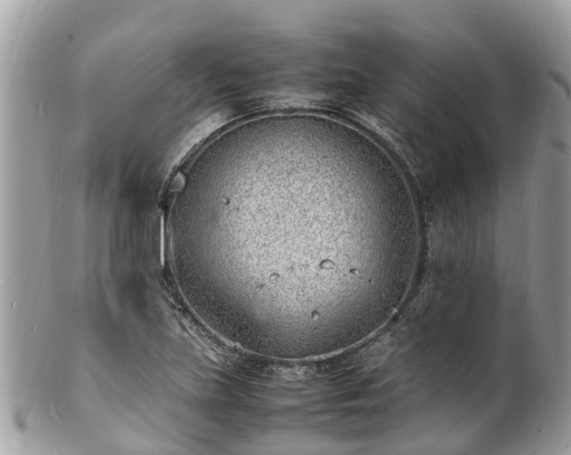 X0000100981219200807011436