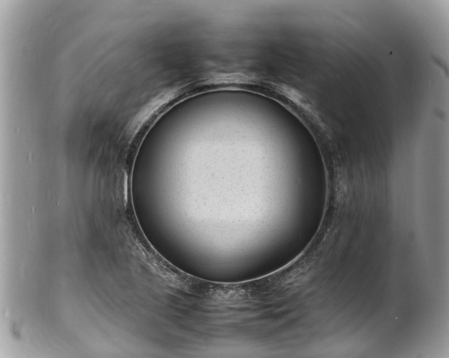 X0000100981221200807011436