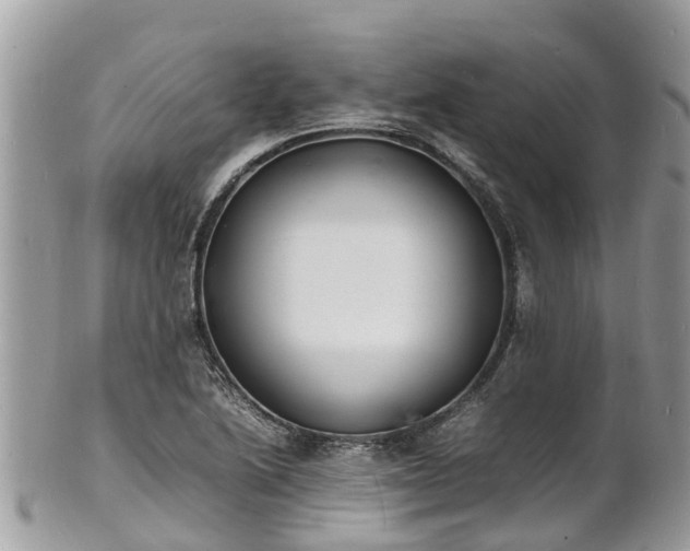 X0000100981222200807011436