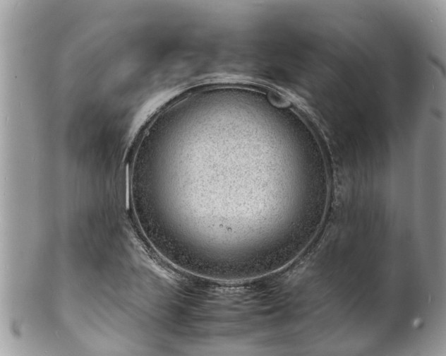 X0000100981223200807011436