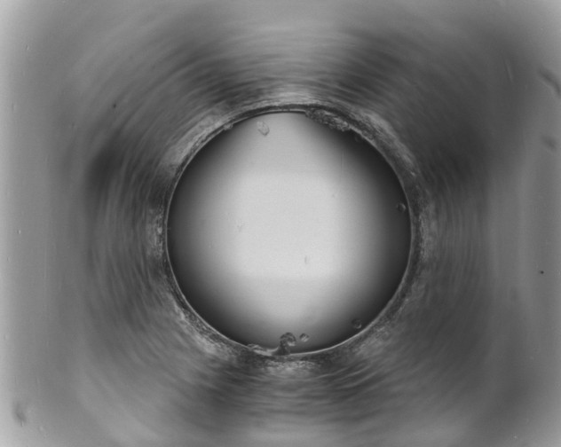 X0000100981225200807011436