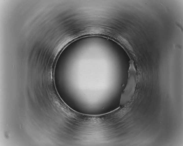 X0000100981226200807011436