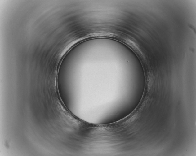 X0000100981228200807011436