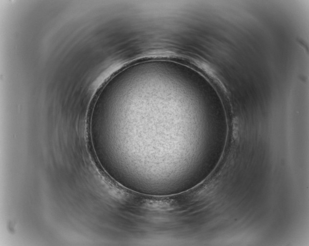 X0000100981229200807011436