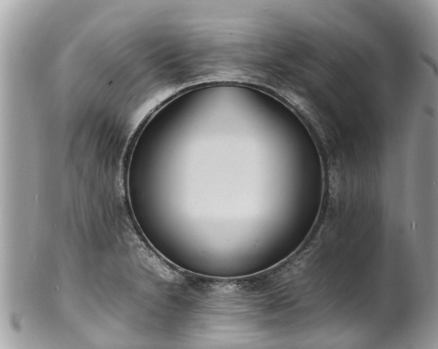 X0000100981230200807011436