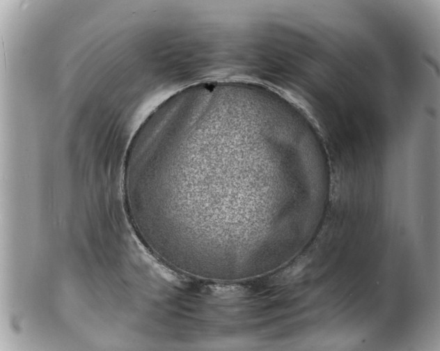 X0000100981231200807011436