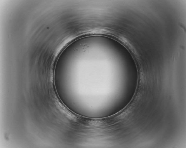 X0000100981232200807011436