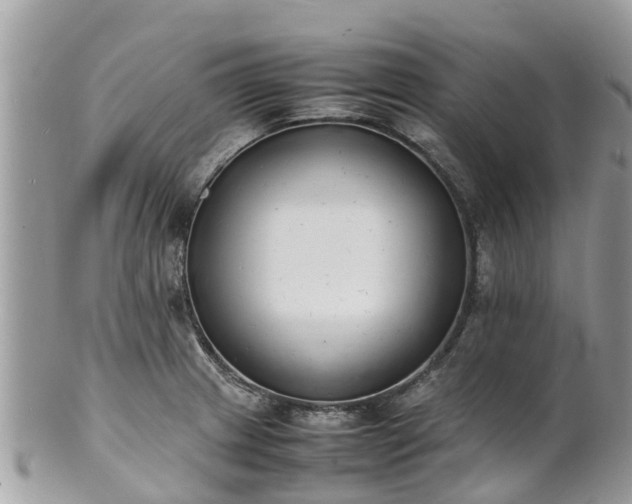 X0000100981233200807011436