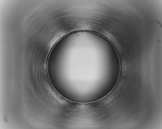 X0000100981234200807011436