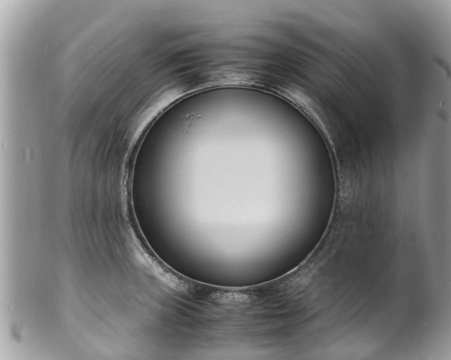 X0000100981235200807011436