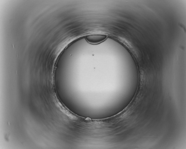 X0000100981236200807011436