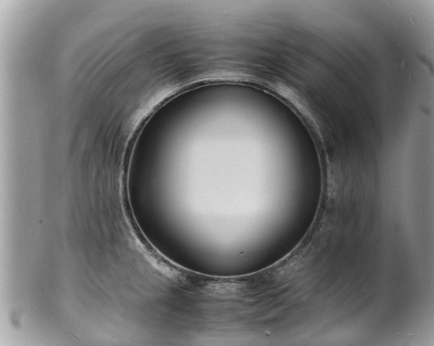 X0000100981237200807011436