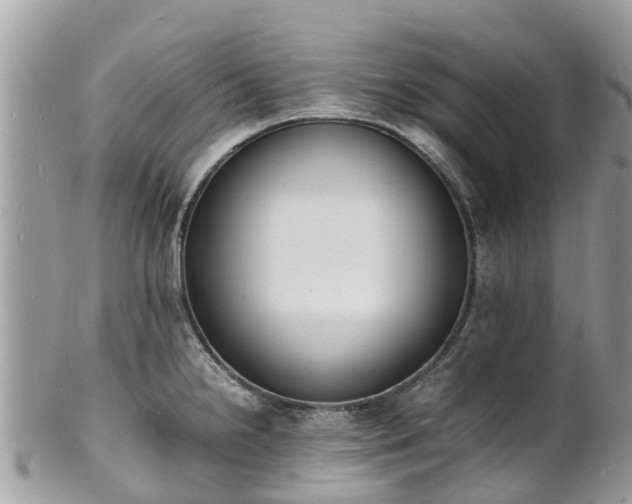 X0000100981238200807011436