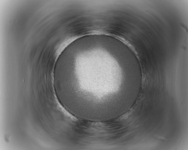 X0000100981239200807011436