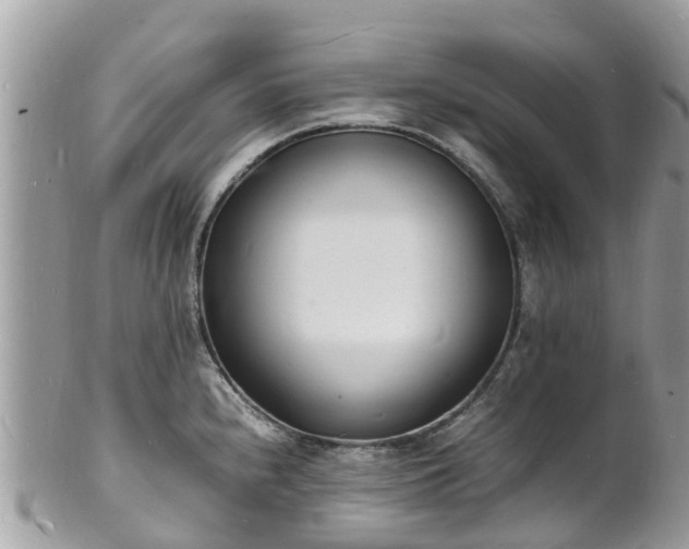 X0000100981240200807011436