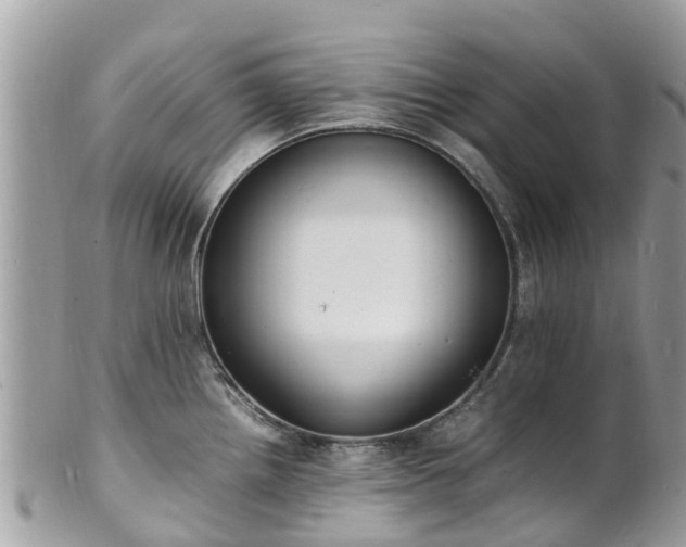 X0000100981242200807011436