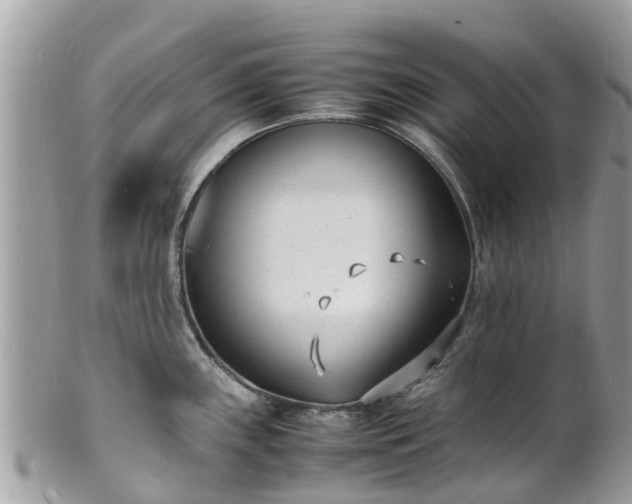 X0000100981243200807011436