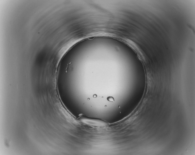 X0000100981244200807011436