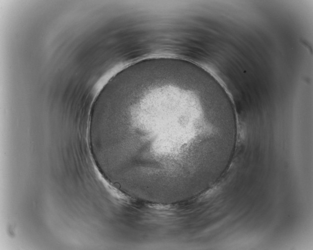 X0000100981245200807011436