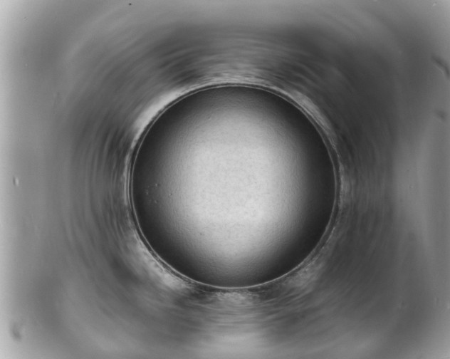 X0000100981246200807011436