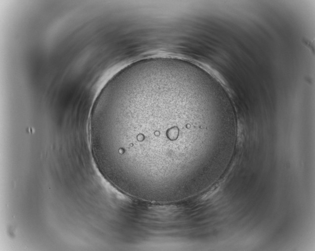 X0000100981247200807011436