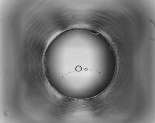 X0000100981248200807011436