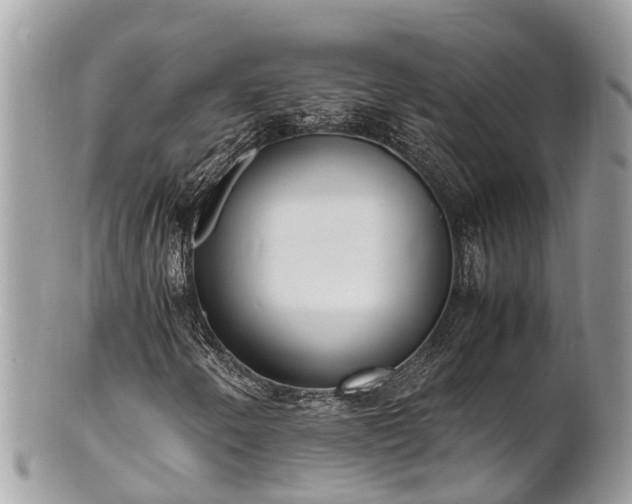 X0000100981250200807011435