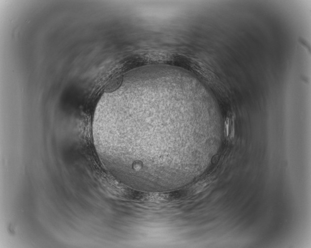 X0000100981251200807011435