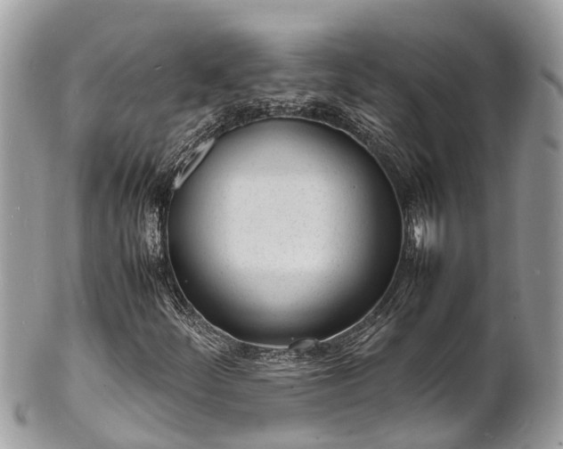 X0000100981252200807011435