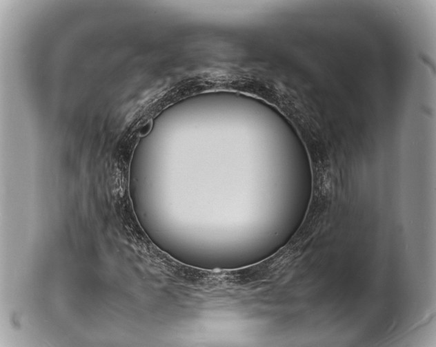 X0000100981253200807011435