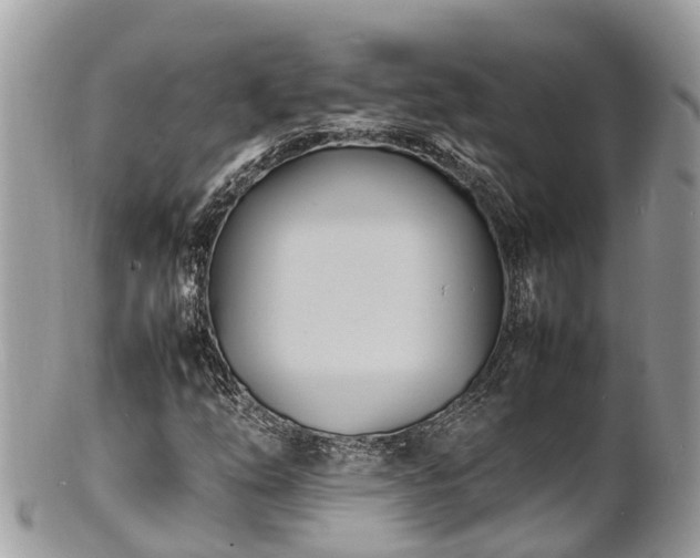 X0000100981254200807011435