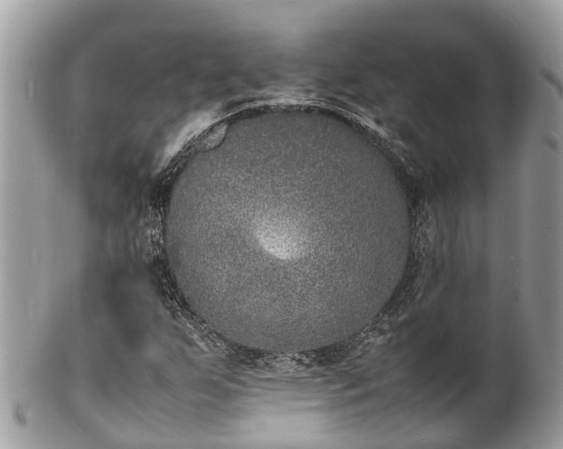 X0000100981255200807011435