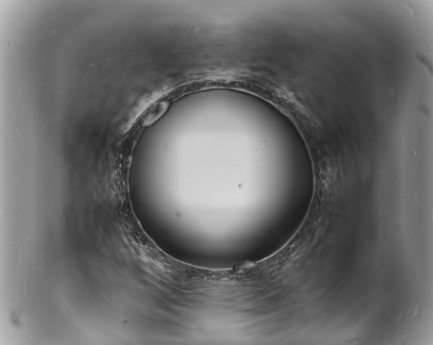 X0000100981256200807011435